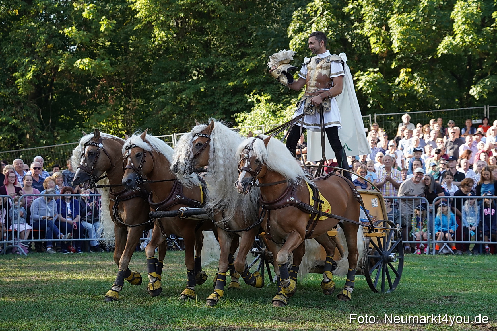 Pferde und Fohlenschau 2022 0020 